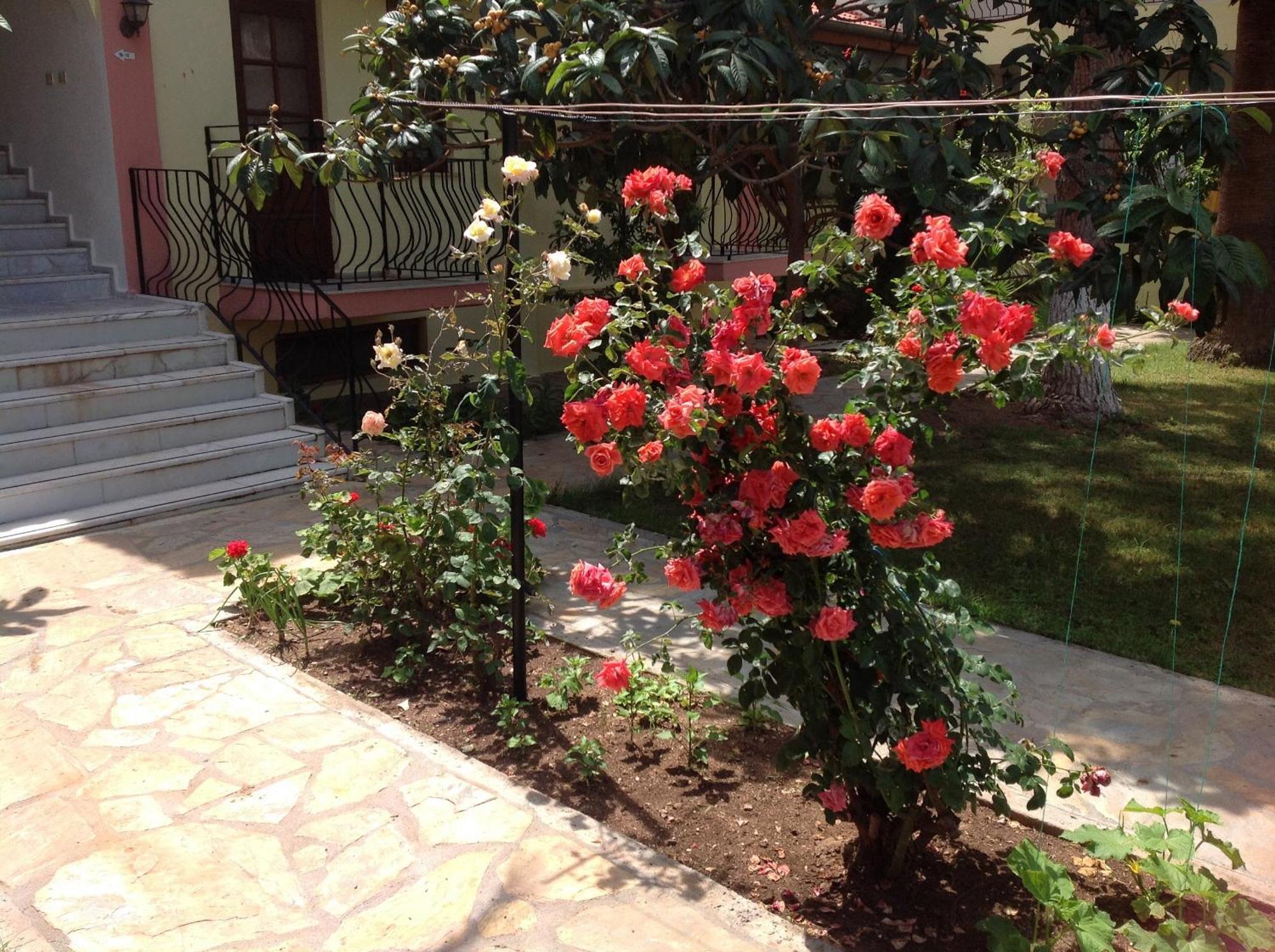 אולודניץ Ilkiz Beach Hotel מראה חיצוני תמונה