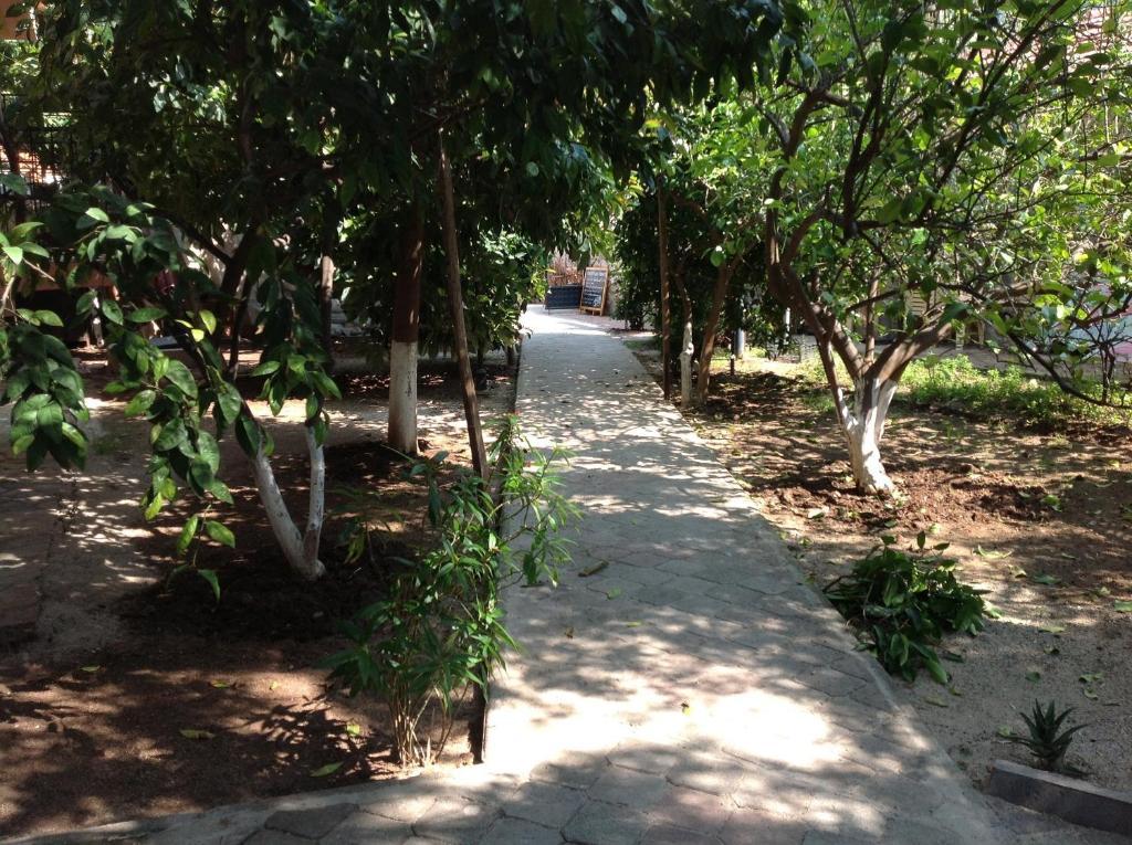 אולודניץ Ilkiz Beach Hotel מראה חיצוני תמונה